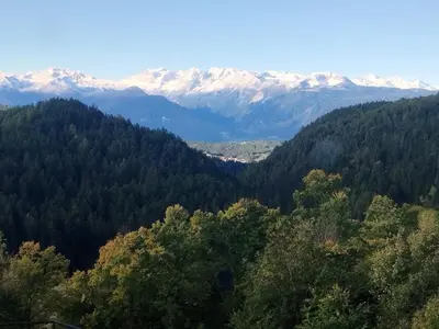 a view of a forest with snow covered mountains at Casa Rita Brenta - Ruffrè-Mendola in Ronzone