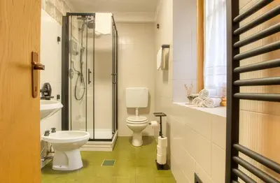 a bathroom with a toilet and a glass shower at Chalet Salejada - WiFi comfort and elegance in Moena