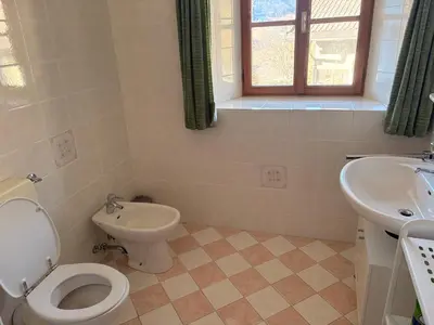 a bathroom with a toilet and a sink at Agriturismo Ciastel de Brach in Longega