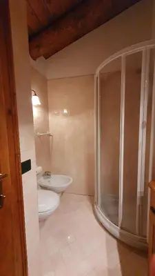 a bathroom with a shower and a toilet and a sink at Chalet Alba in Cortina dʼAmpezzo