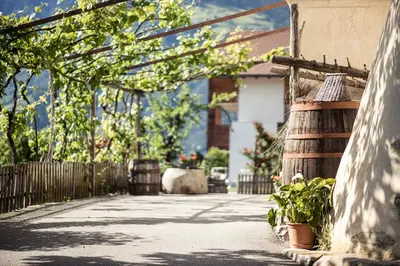 a walkway in front of a house with a fence at Torgglerhof in Schenna