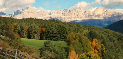 a mountain with trees and mountains in the background at Ferienwohnung BERGKLANG in Nova Ponente