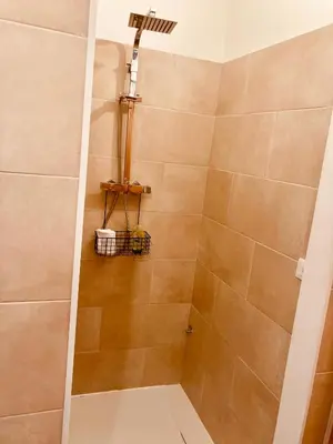 a bathroom with a shower with a shower at primiero-suite 45mq in Transacqua