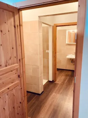 a bathroom with a wooden door and a sink at primiero-suite 45mq in Transacqua