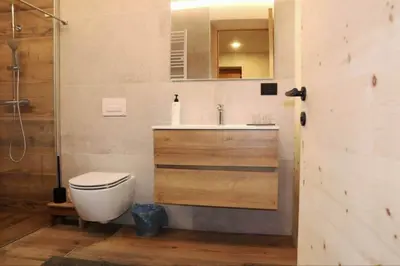 a bathroom with a toilet and a sink and a mirror at Ciesa Le Crepedele - Miniappartamento Zirum in Sottoguda