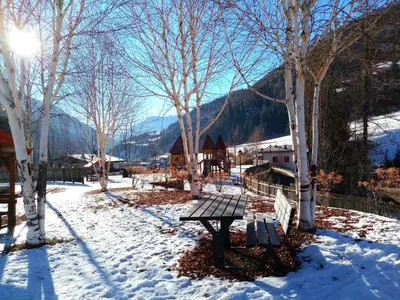a park bench in the snow with trees at Villa Re Laurino Suite Respiro del bosco in Moena
