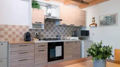 a kitchen with wooden cabinets and a stove top oven at Dolomiti Nest in Tesero