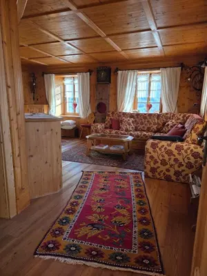 a living room with a couch and a rug at Meleres 11 in Cortina dʼAmpezzo