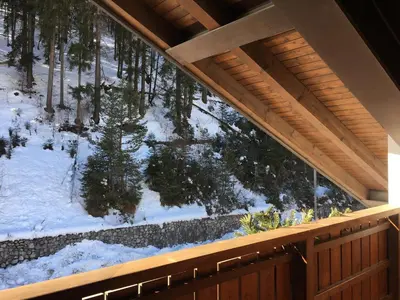 a balcony with a view of a snow covered forest at Penthouse with view 2 bedrooms free parking in Cortina dʼAmpezzo