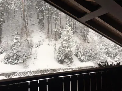 a view of a snow covered forest from a window at Penthouse with view 2 bedrooms free parking in Cortina dʼAmpezzo