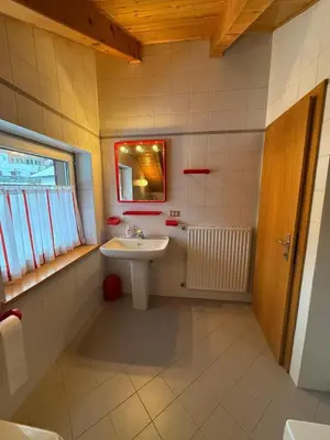 a bathroom with a sink and a mirror at Casa di Lilly in Moena