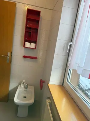 a bathroom with a sink and a toilet and a window at Casa di Lilly in Moena