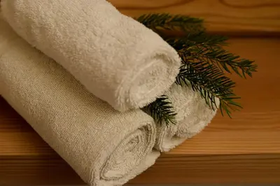 a stack of towels on a table with a pine branch at Malga Valmaggiore in Bellamonte