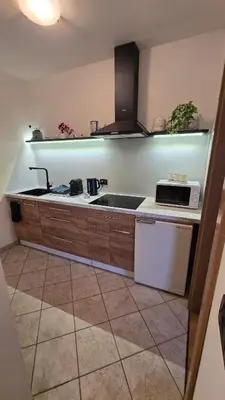 a kitchen with a sink and a microwave at Maison Cavalese - Wild Forest, tranquillità a due passi dal centro in Cavalese