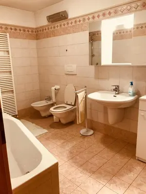 a bathroom with a toilet and a sink and a tub at Casa Rita Roen - Ruffrè-Mendola in Ronzone