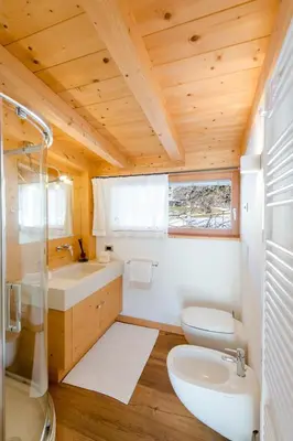 a bathroom with a sink and a toilet and a shower at Awakening in the Dolomites between Pelmo and Antelao in Borca di Cadore