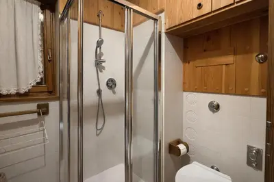 a bathroom with a shower and a toilet at Ca La Casetta in Cortina dʼAmpezzo