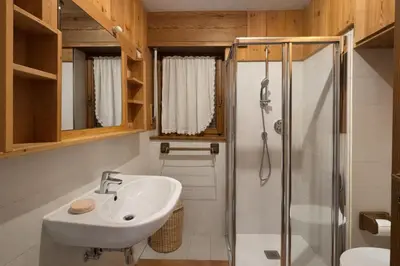 a bathroom with a sink and a shower at Ca La Casetta in Cortina dʼAmpezzo