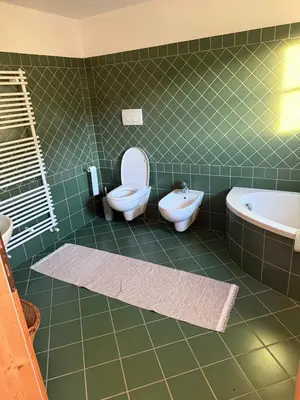 a green tiled bathroom with a toilet and a sink at Appartamento Centro del Fondo Lago di Tesero in Tesero
