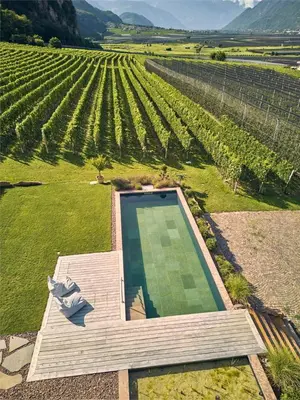 an overhead view of a swimming pool next to a vineyard at Maratscherhof in Eppan an der Weinstrasse ST. Pauls