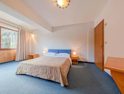 a bedroom with a large bed and a table with a lamp at Hotel Patri in Sottoguda
