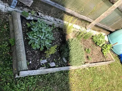 an overhead view of a garden with a plant at Fontanelle La Casa Dei Nonni in Elmo