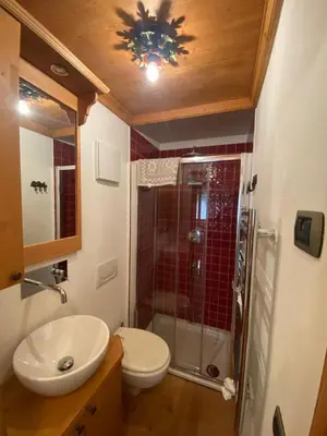 a bathroom with a shower and a toilet and a sink at Cortina Olympic Alpine Holidays in Cortina dʼAmpezzo
