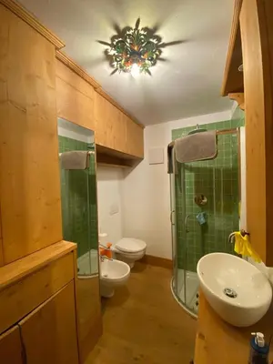 a bathroom with a shower and a sink and a toilet at Cortina Olympic Alpine Holidays in Cortina dʼAmpezzo