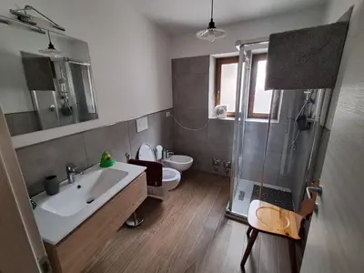 a bathroom with a sink and a toilet and a shower at La Casetta del Cervo a Fiori in Predazzo