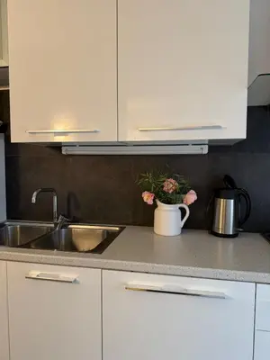 a kitchen counter with a sink and a vase with flowers at Dolomites Home Bolzano in Bolzano