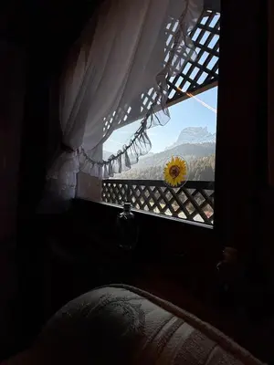 a window with a view of a sunflower on a fence at Red Alpine Olympic Apartment near Cortina in San Vito di Cadore
