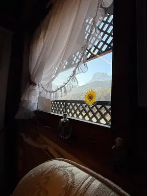 a window with a view of a sunflower at Red Alpine Olympic Apartment near Cortina in San Vito di Cadore
