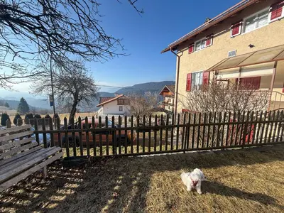 a dog standing next to a fence in front of a house at Casa Montana & Zampette in Fondo