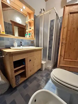 a bathroom with a toilet and a sink and a shower at Ca' Pelmo in San Vito di Cadore