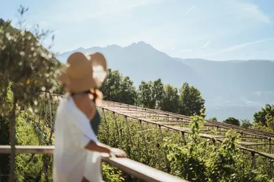 a woman standing on a fence looking at a vineyard at Niedermair Nature Retreat in Parcines
