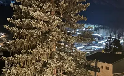 a christmas tree is decorated with white lights at Ca' Scalinatella in Cortina dʼAmpezzo