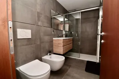 a bathroom with a toilet and a shower and a sink at Mazzantini appartamento vacanza San Martino di Castrozza in San Martino di Castrozza