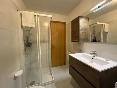 a bathroom with a sink and a shower and a toilet at Il Gufo Bianco in Carano