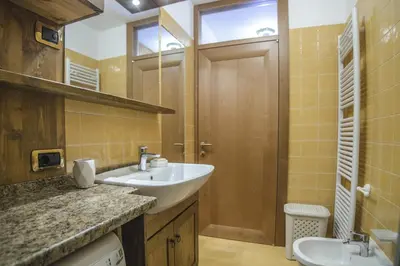 a bathroom with a sink and a toilet and a mirror at Un angolo di relax sulle Dolomiti ampezzane in Cortina dʼAmpezzo