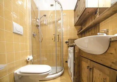 a bathroom with a toilet and a shower and a sink at Un angolo di relax sulle Dolomiti ampezzane in Cortina dʼAmpezzo