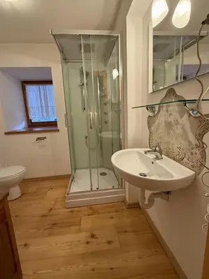 a bathroom with a shower and a sink at Il Molino nel bosco - PT in Alleghe