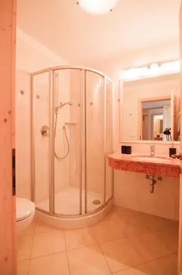 a bathroom with a shower and a toilet and a sink at Berggasthof Messnerhof in Barbiano
