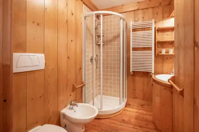 a bathroom with a shower and a toilet and a sink at Cozy basement flat just few steps from centre in Cortina dʼAmpezzo