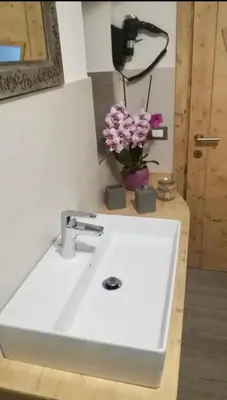 a white sink with a vase of flowers on a counter at B&B Ciesa la Vèrda in Rocca Pietore