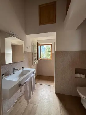 a bathroom with a sink and a toilet at Locanda Baita Donariè in San Vito di Cadore