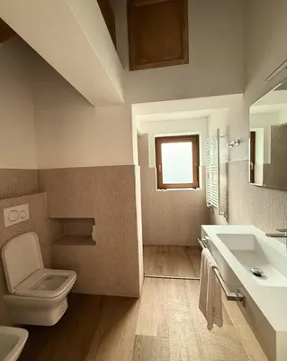 a bathroom with a toilet and a sink at Locanda Baita Donariè in San Vito di Cadore
