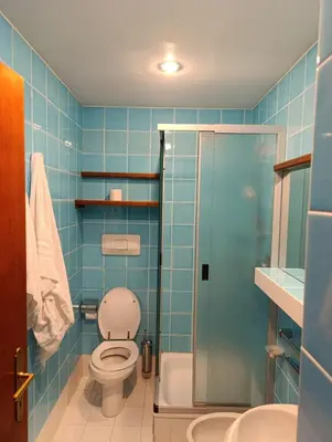 a blue tiled bathroom with a toilet and a shower at Villaggio Ploner in Dobbiaco