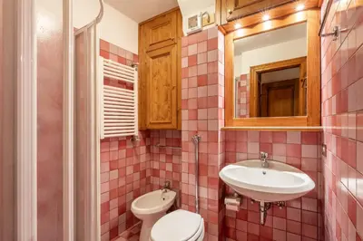 a bathroom with a sink and a toilet and a mirror at Cozy 3 bedroom with beautiful view and access to garden in Cortina dʼAmpezzo