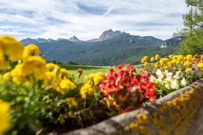 a field of flowers with mountains in the background at Cozy 3 bedroom with beautiful view and access to garden in Cortina dʼAmpezzo