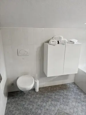 a bathroom with a toilet and a cabinet with towels at Ruhige Dachwohnung mit Bergblick - Passeiertal in Saltusio